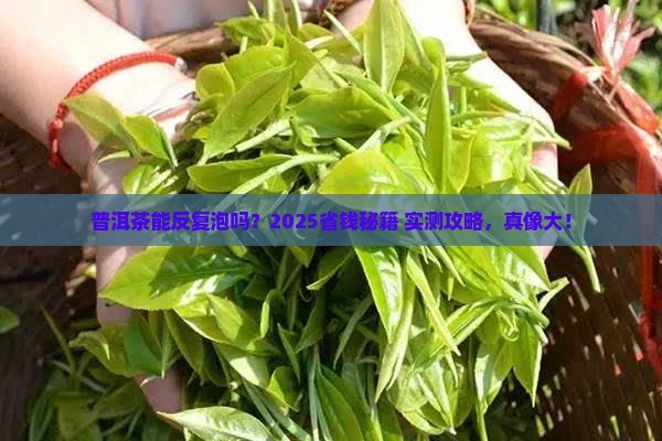 普洱茶可以重复使用吗