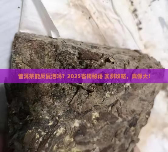 普洱茶可以重复使用吗