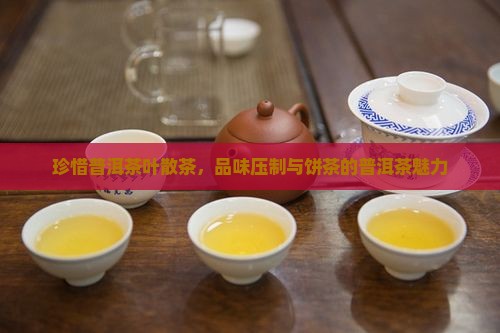 珍惜普洱茶叶散茶
