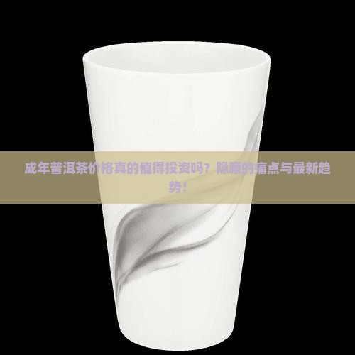 成年普洱茶价格