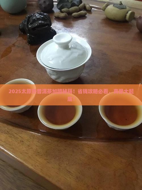太原熟普洱茶渠道加盟