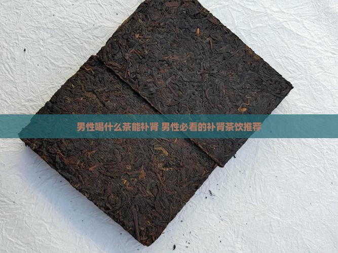 男性喝什么茶能补肾