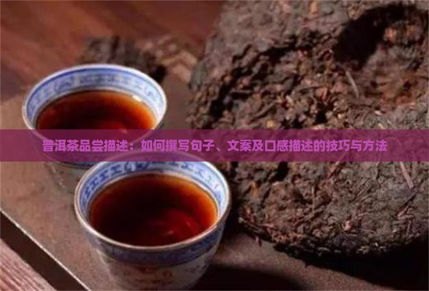 普洱茶品尝描述