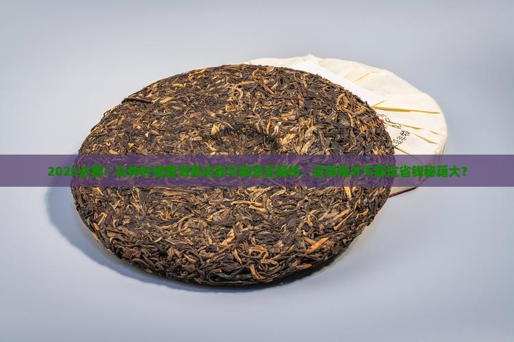 杜仲叶加普洱茶的功效与禁忌