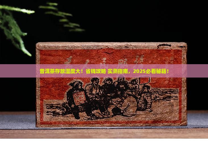 普洱茶的存放与购买藏湿度