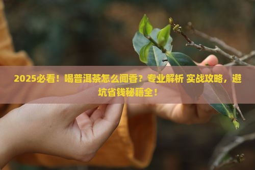 喝普洱茶怎么闻香