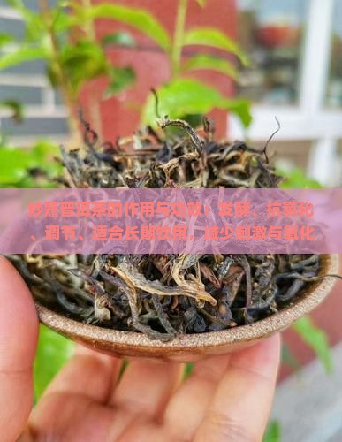 炒熟的普洱茶的作用与功效