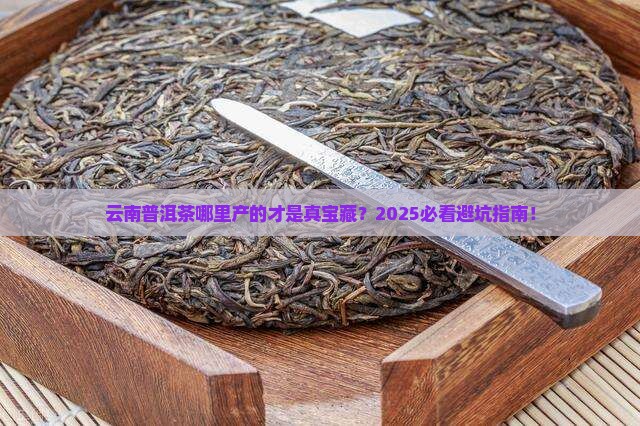 普洱茶云南哪里生产的比较好