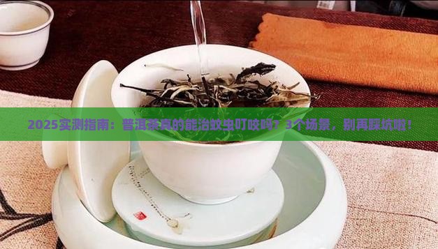 普洱茶可以治蚊虫叮咬吗
