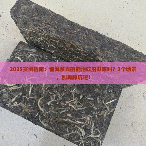 普洱茶可以治蚊虫叮咬吗