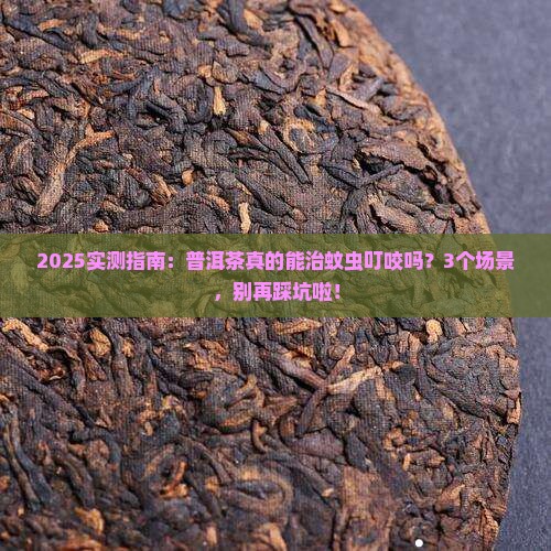 普洱茶可以治蚊虫叮咬吗