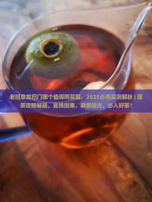 老班章龙巴门哪个值得购买藏