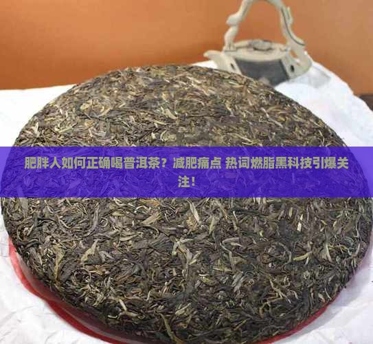 肥胖人如何正确喝普洱茶