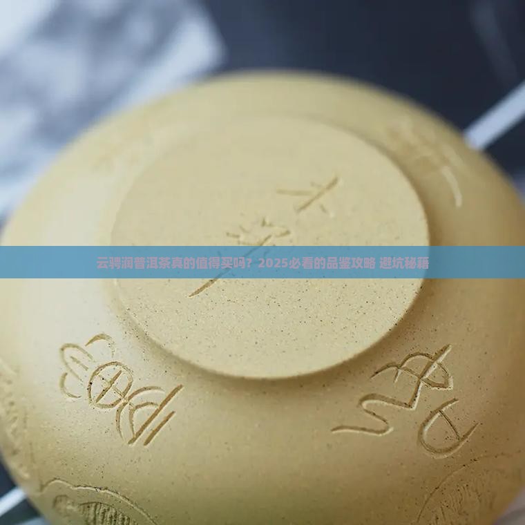 云骋润品牌普洱茶