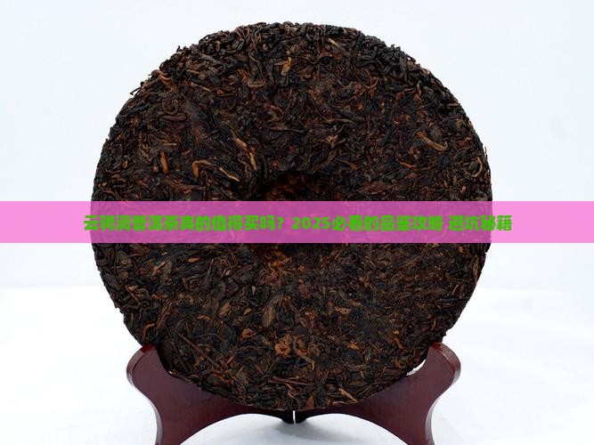 云骋润品牌普洱茶