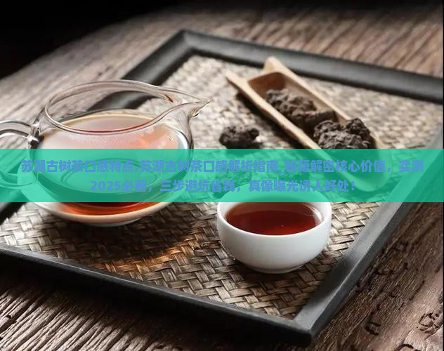 苏湖古树茶口感特点