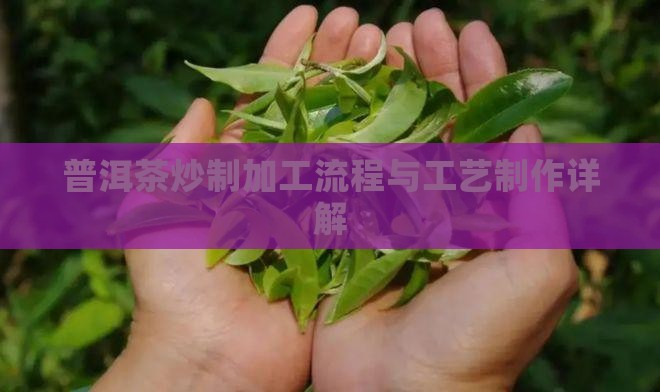 普洱茶炒制加工流程