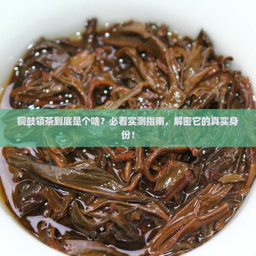 铜鼓领是什么茶