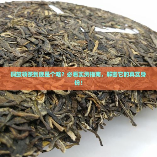 铜鼓领是什么茶