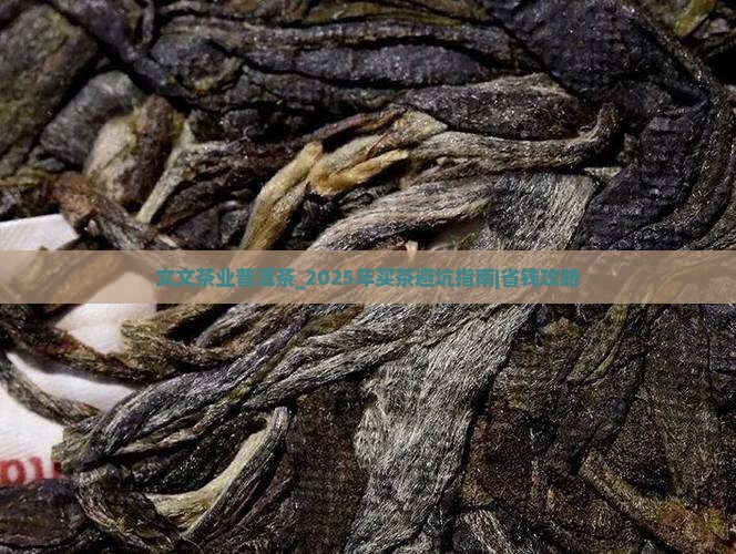 文文茶业普洱茶