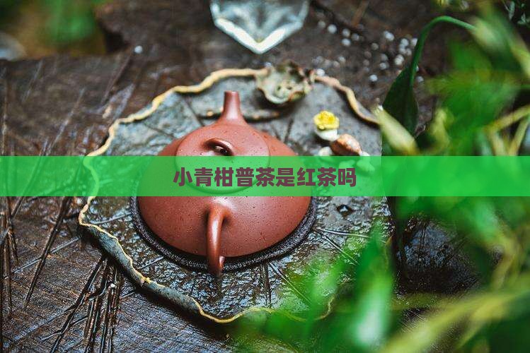 小青柑普茶是红茶吗