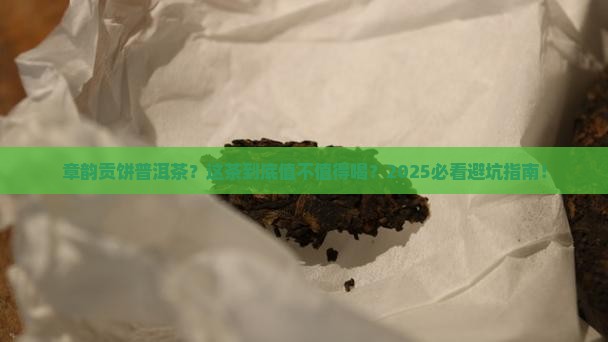 章韵贡饼普洱茶