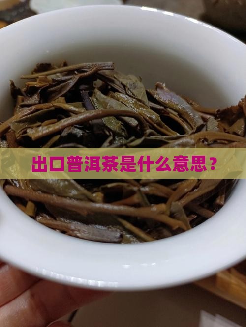 出口普洱茶是什么意思