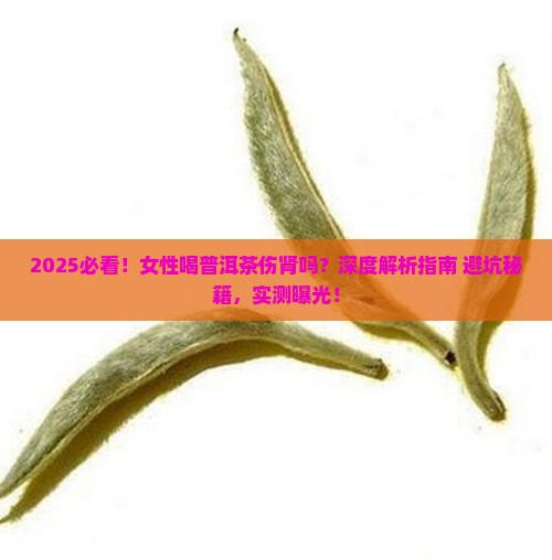 女性喝普洱茶伤肾吗