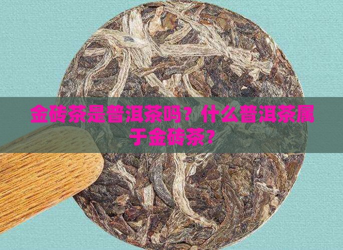 金砖茶是普洱茶吗