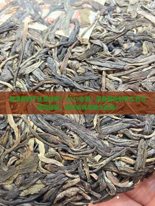 普洱茶晒干还是烘青