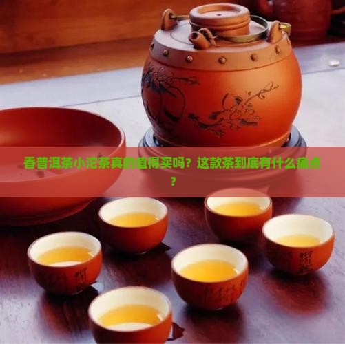 香普洱茶小沱茶
