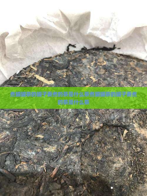 煮罐罐茶的罐子要煮的茶是什么茶