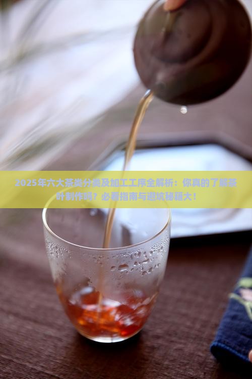 六大茶类分类及加工工序