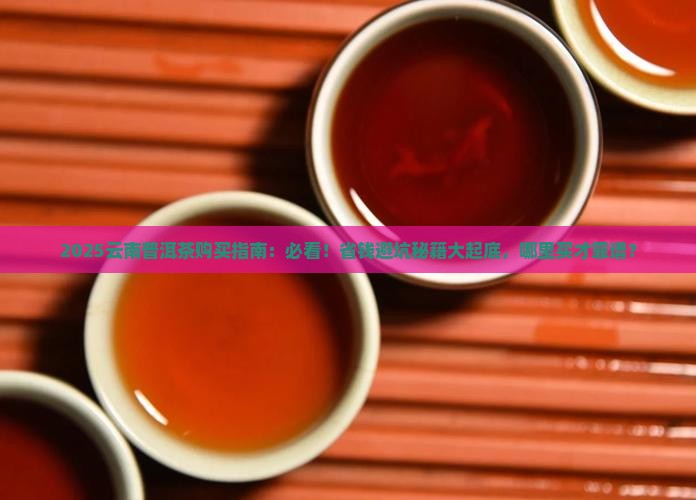 云南普洱茶哪里买到