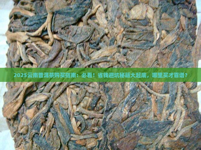 云南普洱茶哪里买到