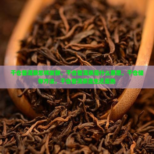 干仓普洱茶怎样发