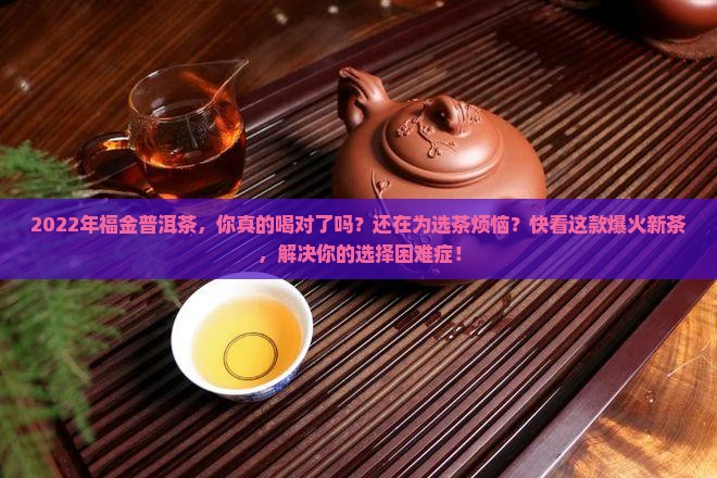 2022年福金普洱茶