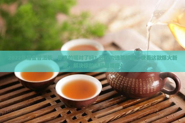 2022年福金普洱茶
