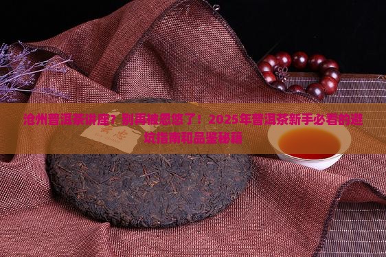 沧州普洱茶讲座
