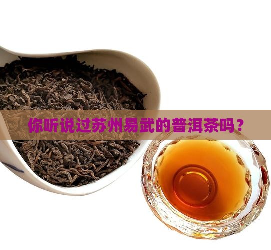 苏州易武普洱茶
