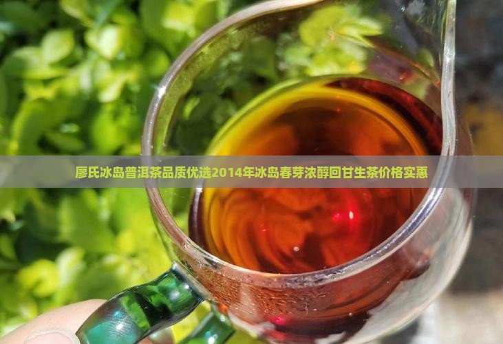 廖氏冰岛普洱茶品质