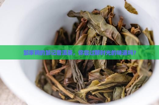 邹家驹邹记普洱茶