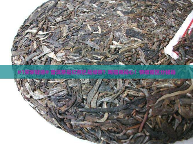 普洱茶是什么红茶绿茶