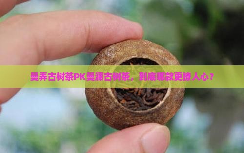曼弄古树茶的特点曼澜古树茶