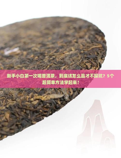 普洱茶怎么样品尝