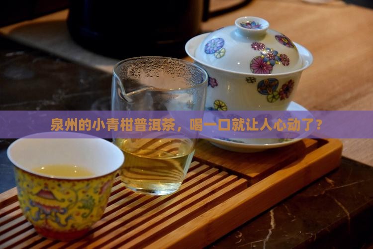 泉州小青柑普洱茶