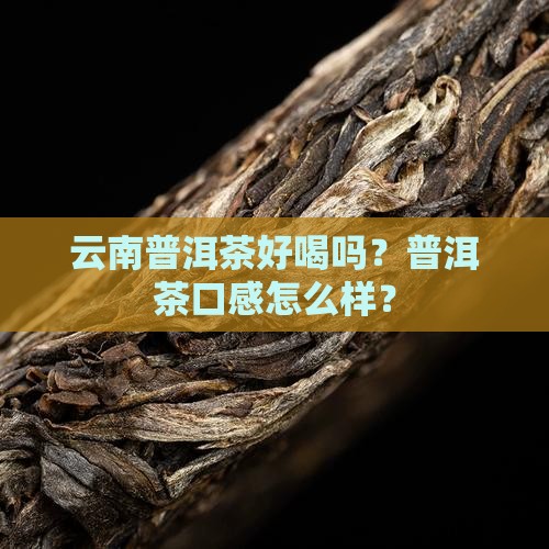 云南普洱茶怎么样好喝吗