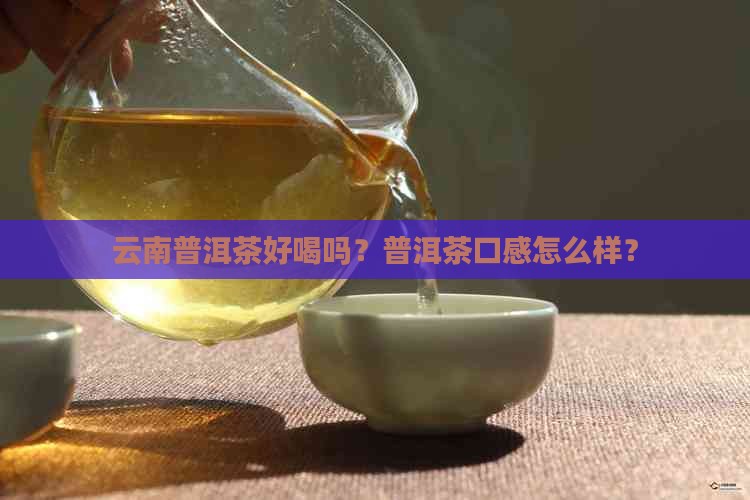 云南普洱茶怎么样好喝吗