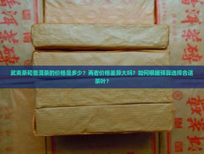 武夷茶普洱茶价格