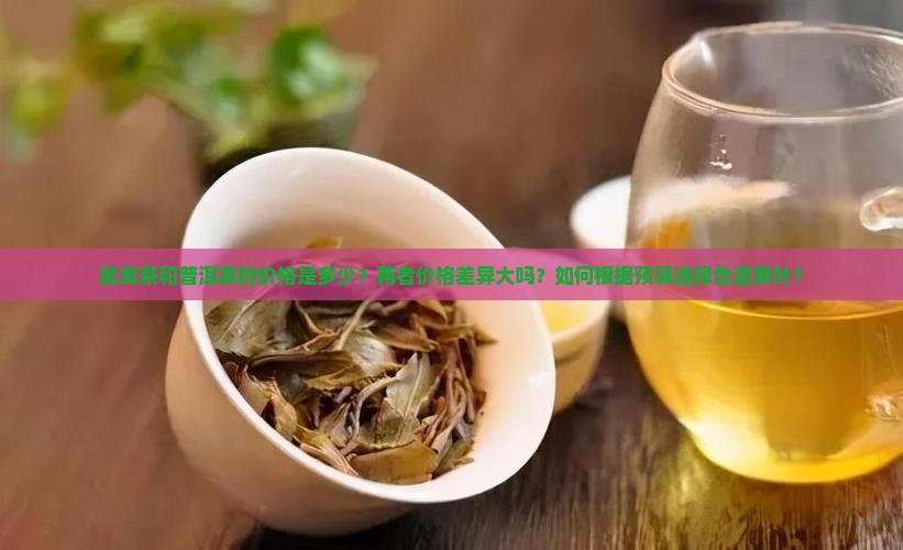 武夷茶普洱茶价格